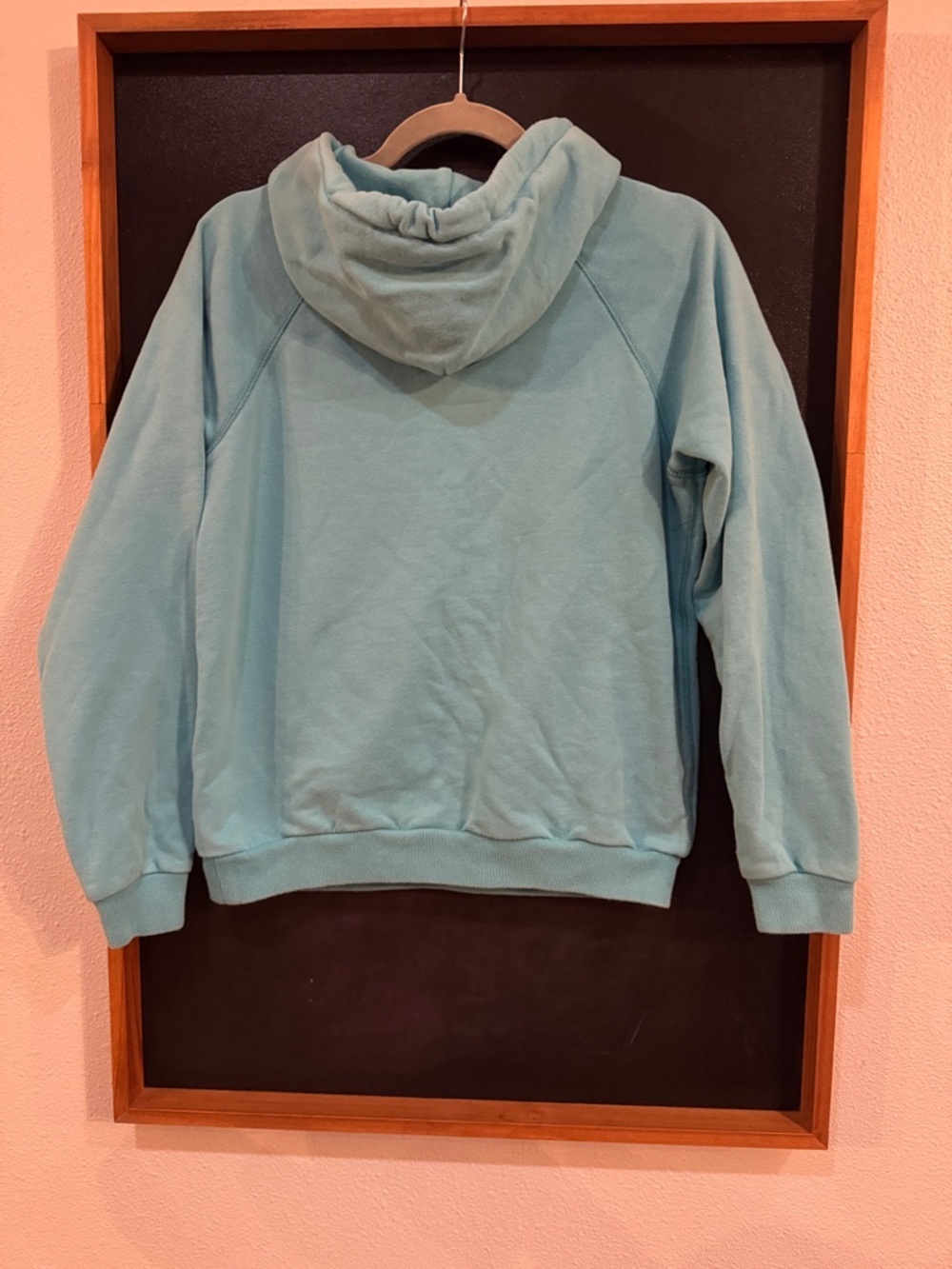 Polo by Ralph Lauren Aqua Pullover Hoodie with Embroidered Pony - Picture 3 of 5